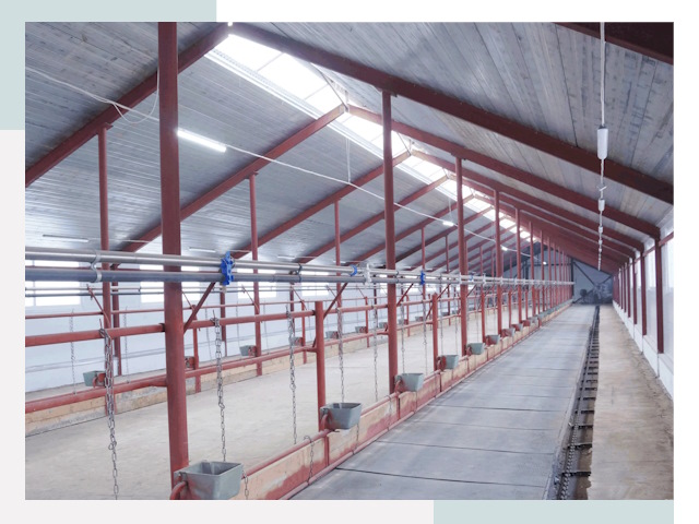 Строительство коровников в Раменском от 608 руб.