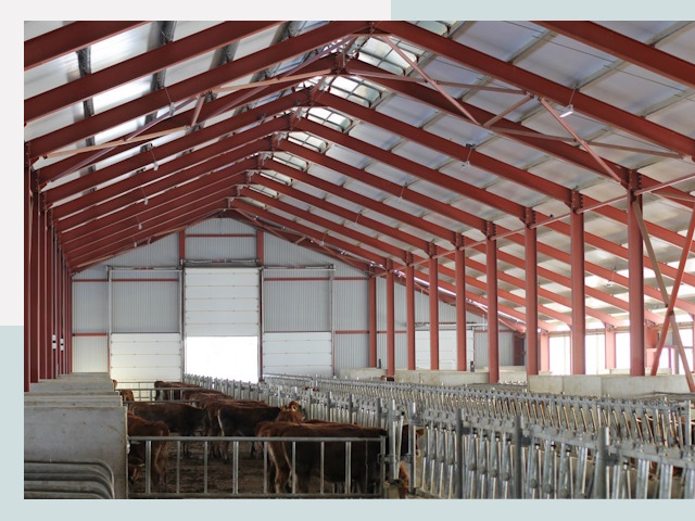 Строительство коровников в Раменском