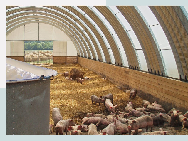 Строительство свинарников в Раменском