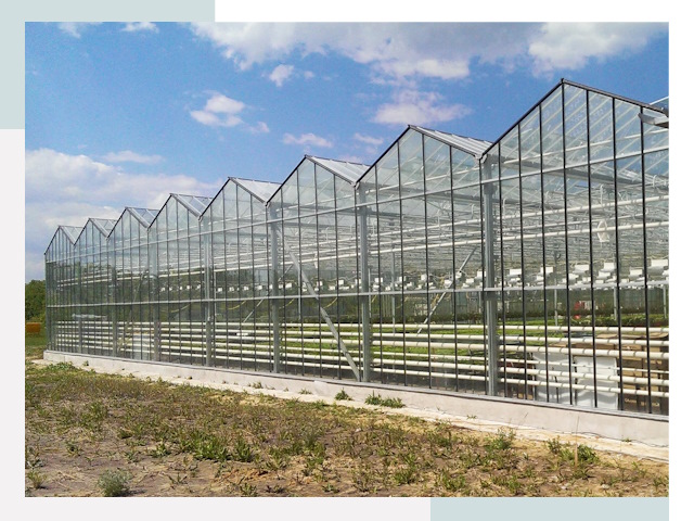 Строительство теплиц в Раменское от 608 руб. за м²