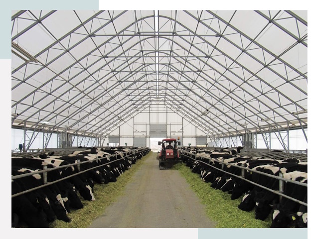 Тентовые коровники в Раменском от 608 руб. - Надежно и доступно